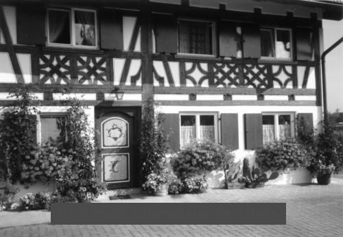 Die "schlechte" Ausgabe des Bildes